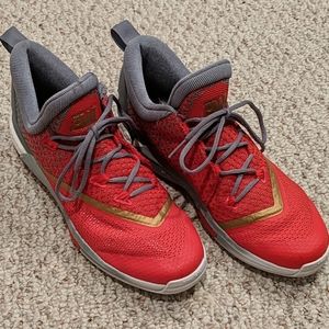 Andrew Wiggans Basketball Shoes (Great Condition)